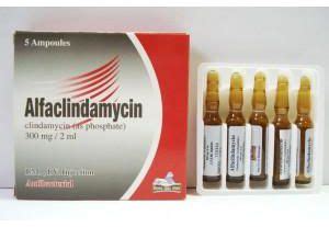 alfaclindamycin 300mg/2ml 5 amp. i.v./i.m. inj.