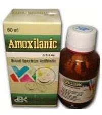 amoxilanic 228.5mg/5ml pd. for oral susp. 60ml