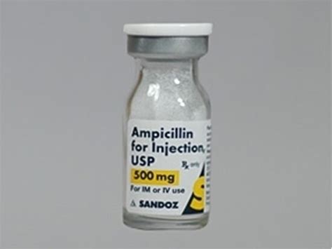 ampicillin 500mg vial
