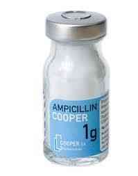 ampicillin-misr 500mg vial