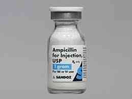 ampicillin sodium 500mg i.m/i.v vial