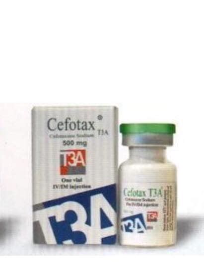 cefotax t3a 500mg vial