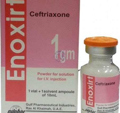 enoxirt 1 gm i.v. vial