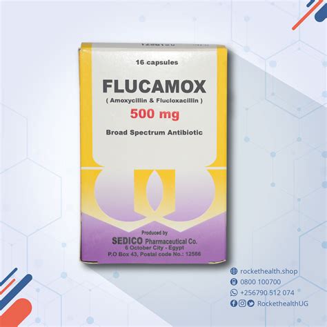 flucamox 500mg vial