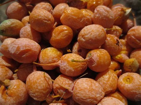 جينكو بيري 10 كبسولات