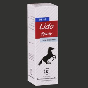 lido 40mg/1ml topical spray 10 ml