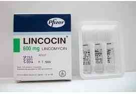 lincobiotic 600mg/2ml i.m./i.v. 3 amp.