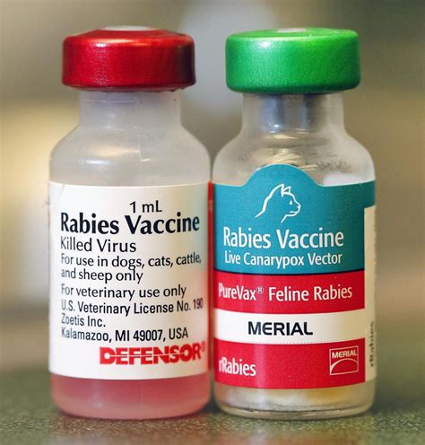 سعر دواء rabies vaccine