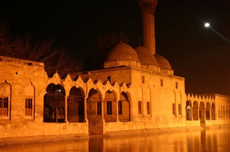 urfa لزقة ظهر ارفا < 1