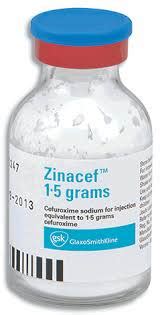 سعر دواء زيناسيف 1.5 جرام فيال